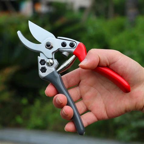 Dyiom 7 5 In Garden Shears Professional Hand Pruner B08791GRL3 The