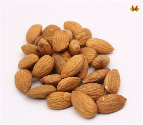 Organic Almond Nuts Style Preserved At Best Price In Bangalore Id