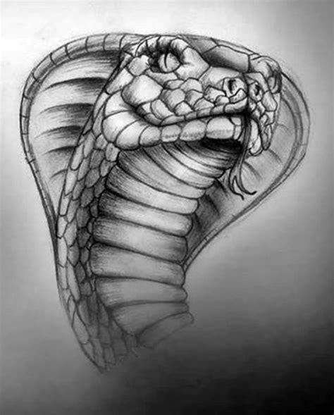 Pin On Tattoo Cobra Tattoo Snake Drawing Snake Art