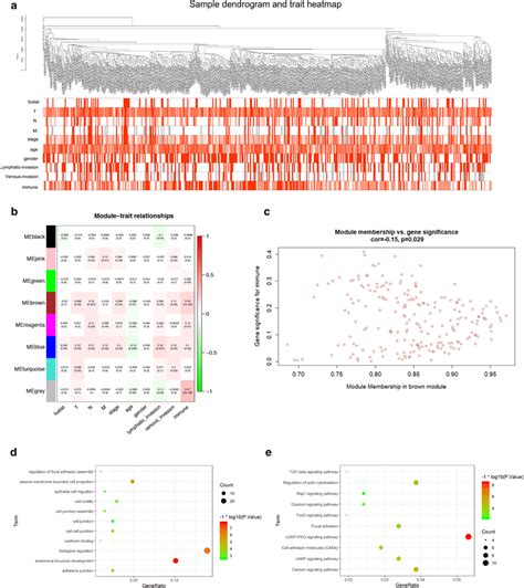 Detection And Validation Of Immunity Related Module By Wgcna A The