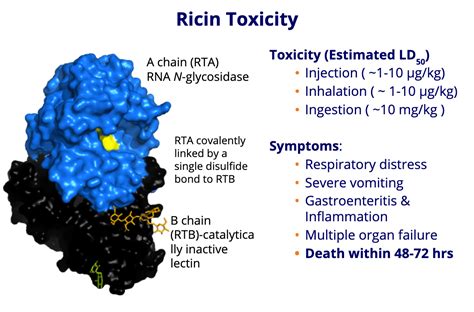 RiVax ® Vaccine Candidate for Ricin Poisoning Treatment | Soligenix