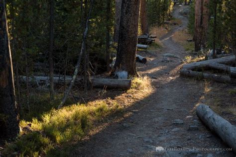 Hiking in Yellowstone National Park