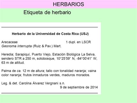 Enfermedad otoño Una vez más etiquetas para herbario eterno intencional