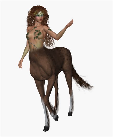 Centaur Png Free Transparent Clipart ClipartKey