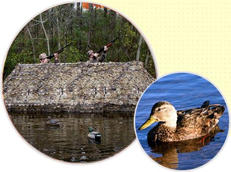 Duck Hunting Boat Blinds