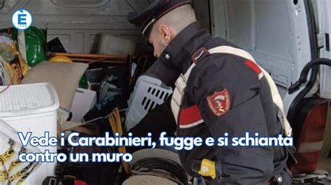 Vede i Carabinieri fugge e si schianta contro un muro ÈliveBrescia TV