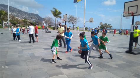 Escola Eb Pe Ribeiro Domingos Dias Desporto Escolar Basquetebol E