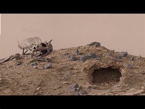 Mars Perseverance Rover Send New K Video Footage Of Mars Sol