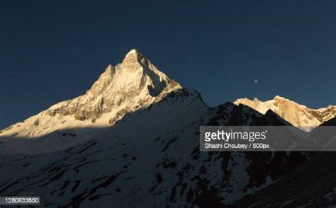 Gangotri National Park Photos and Premium High Res Pictures - Getty Images