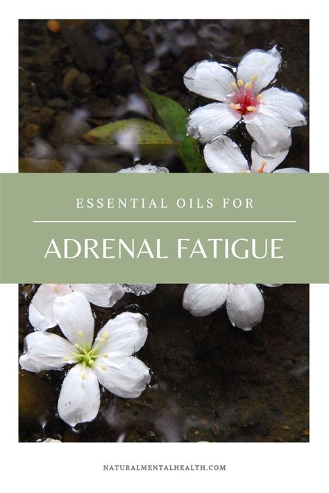 Essential Oils Can Support Adrenal Fatigue By Offering You A Quick