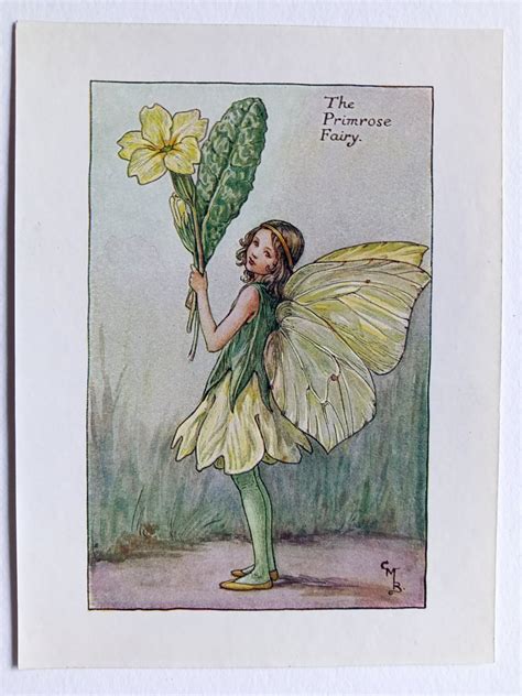 Flower Fairies Cicely Mary Barker Prints Reduced Rare Ec