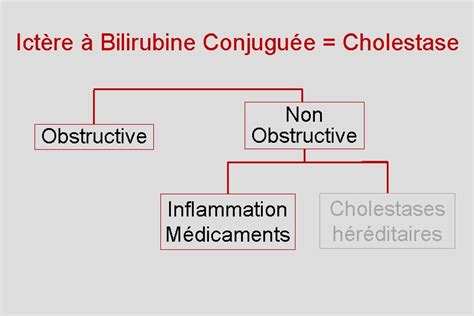 Cm Ictere Prrequis Anatomie Des Voies Biliaires Intra