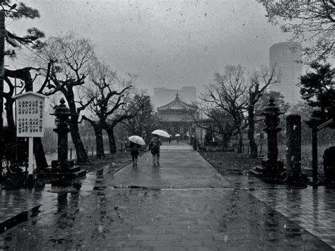 Wallpaper People Bw Japan Tokyo Ueno 5616x3744 966265 HD