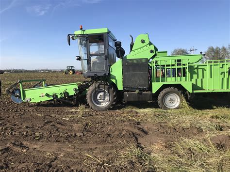 Potato Combine Harvester 4uz 2j Kandf International