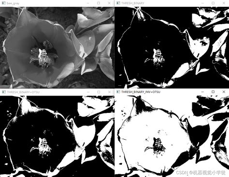 【opencv Python】12 Opencv的阈值处理 1 基本的全局阈值处理 Opencv Csdn博客