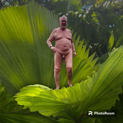 Presentation Nude Pics XHamster