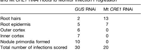 Table 1 From The Medicago Truncatula Cre1 Cytokinin Receptor Regulates