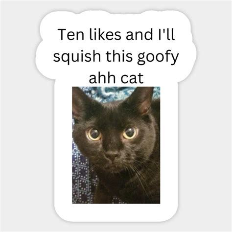 Rip Cat Meme Sticker Teepublic