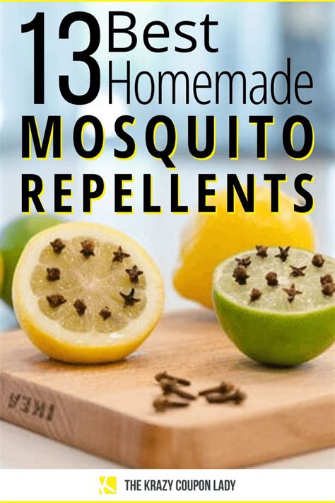 13 Best Homemade Mosquito Repellents Mosquito Repellent Homemade