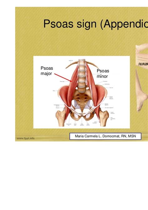 Abdominal Assessment