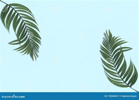 Summer Composition With Tropical Leaves On Pastel Blue Background