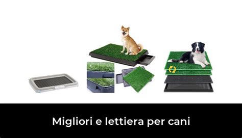 Migliori E Lettiera Per Cani Nel Recensioni Opinioni Prezzi