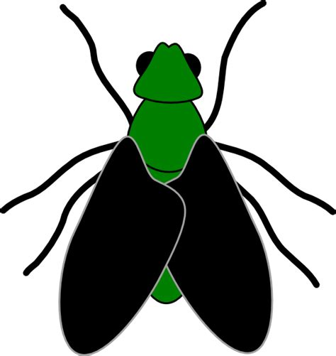 Free Cartoon Picture Of A Fly Download Free Cartoon Picture Of A Fly Png Images Free Cliparts