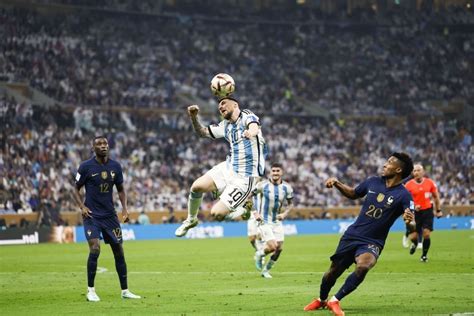 Diario Hoy Fifa Abre Expediente A Argentina Por La Final Del Mundial