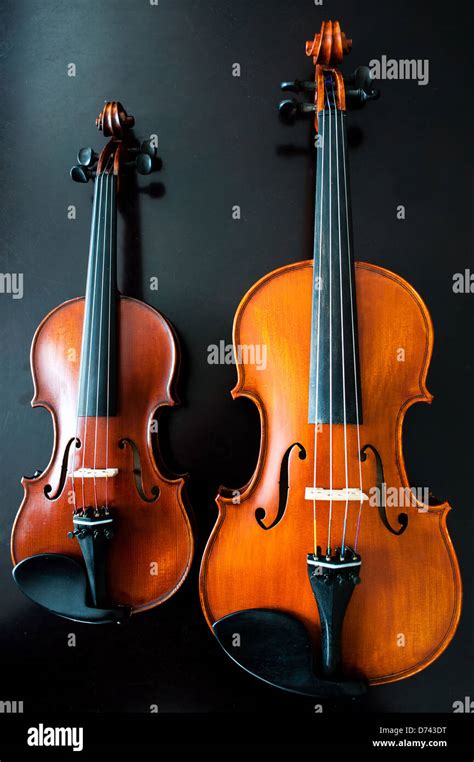 A full size (4/4) and quarter size (1/4) violin side by side in a ...