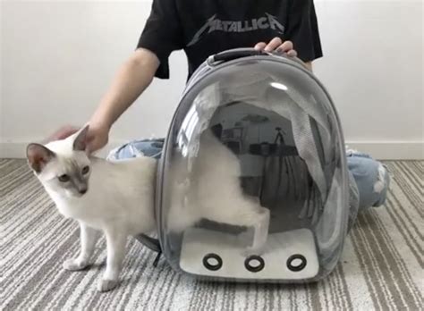 This Bestselling Cat Carrier Backpack Is 40 Off
