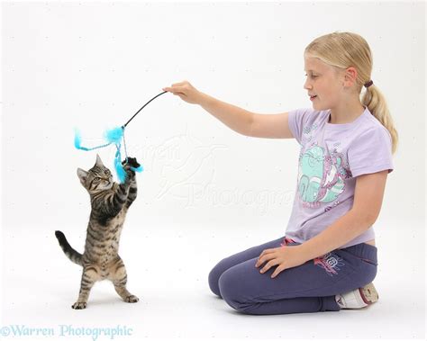 Girl playing with a tabby kitten using a lure photo WP35914