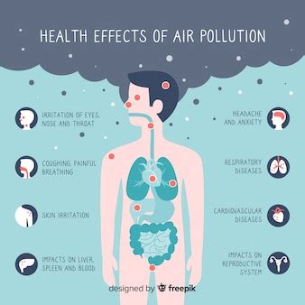 Free Vector | Infographic of pollution effects on human body