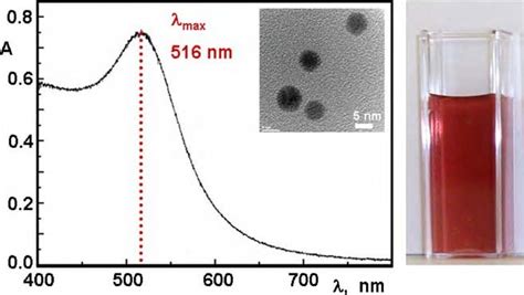 Characterization Of Citrate Capped AuNP The SP Absorbance Spectrum