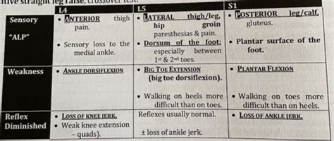 Ortho Rheum Flashcards Quizlet