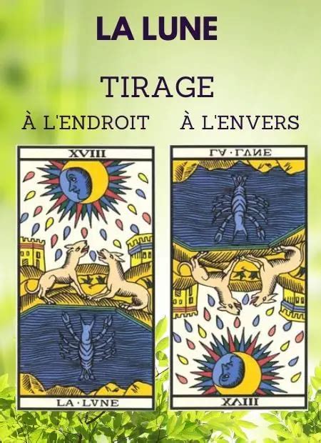 Tout Savoir Sur La Lune Tarot De Marseille