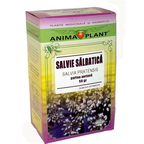 Salvie Salbatica Salvia Pratensis Partea Aeriana Planta Pentru Ceai