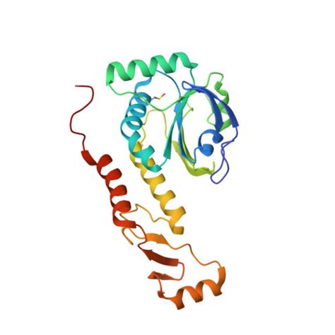 RCSB PDB 2E2M Crystal Structure Of Archaeal Peroxiredoxin