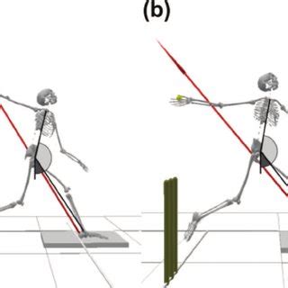 A Typical Ground Reaction Force Trace During The Front Foot Contact