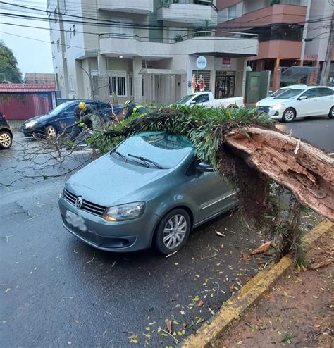 Galho atinge veículo parado em sinaleira no Centro de Bento Gonçalves