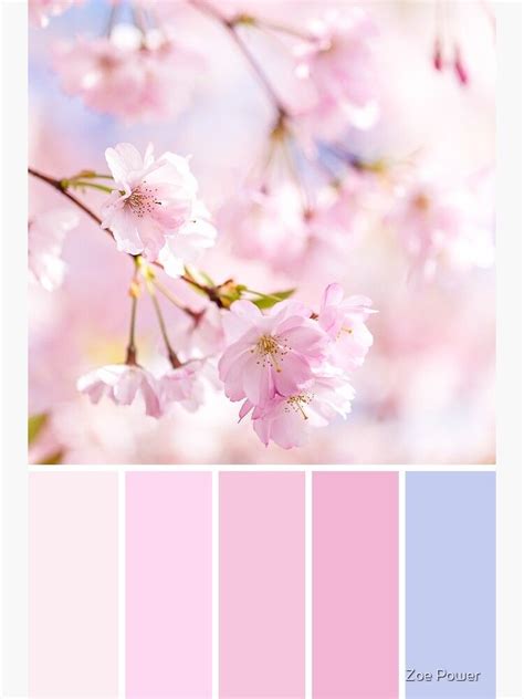 Cherry blossom colour palette in pastel pinks and sky blue metal print ...