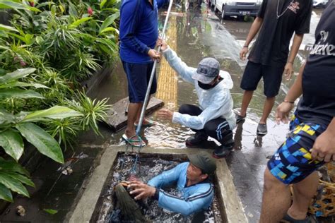 Dinas PUPR Denpasar Bersihkan Drainase Untuk Cegah Banjir ANTARA News