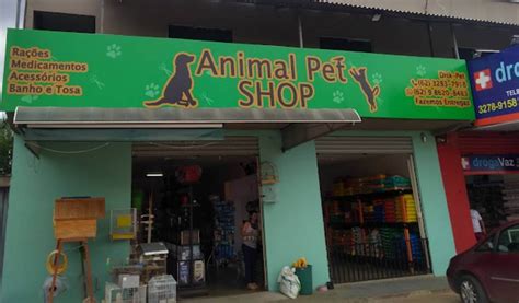 Op Es De Pet Shops Em Aparecida De Goi Nia Aparecida De Goi Nia