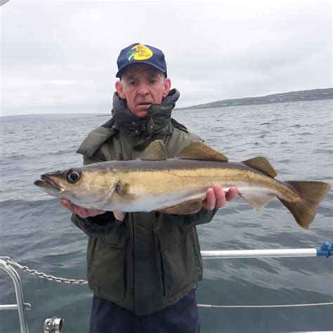 Good Wrasse And Pollack Fishing In Galway Bay Fishing In Ireland