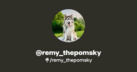 Remy Thepomsky Instagram Tiktok Linktree