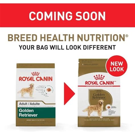 Royal Canin Golden Retriever Adult Dry Dog Food Taurine Epa And Dha