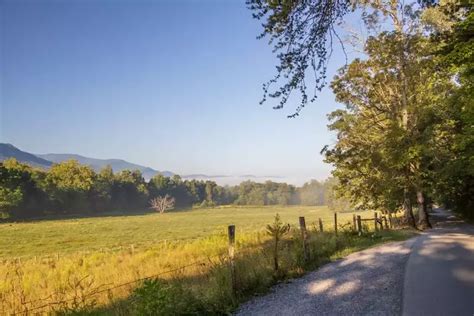 8 Things You Can See Along Cades Cove Loop Road