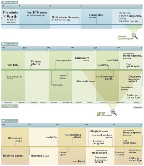 Geological Timeline History Of Life On Earth Bbc Nature Didactalia Material Educativo