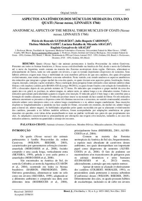 (PDF) Aspectos anatômicos dos músculos mediais da coxa do Quati (Nasua nasua, Linnaeus 1766 ...