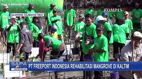 Hari Lingkungan Hidup Sedunia Pt Freeport Indonesia Rehabilitasi Hutan