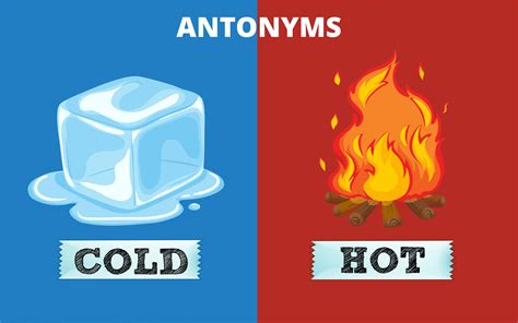 Antonyms: 110+ Antonym words You Should Explore! | Leverage Edu